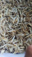 high quality dried anchovy seafood from vietnam