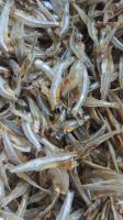 high quality dried anchovy seafood from Vietnam