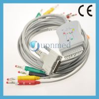 Schiller 10 Lead EKG Cable With Lead Wires