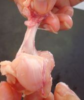 Frozen Chicken Lollipops