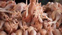 Processed frozen Chicken Feet and Paws Exporters from Brazil