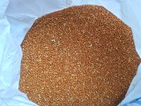 Red millet