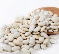 cheap large white kidney beans