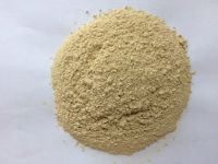 DEHYDRATED GARLIC POWDER PREMIUM