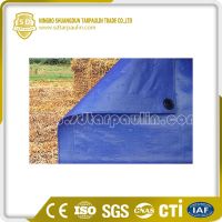 Blue Tarpaulin Covers High Density HDPE Fabric