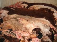 Dry Salted Bull Hides/Wet Salted Cow Head Skins