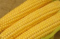 Yellow corn , Rice,white corn