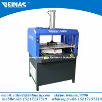 Veinas Expanded Polyethylene Foam extrusion machine