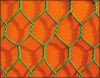 Chicken wire/Hexagonal Wire Mesh