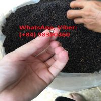 High Quality Black Pepper