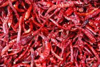 OEM factory hot red pepper