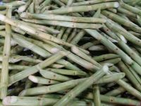 HIGH QUALITY FROZEN SUGARCANE FOR JUICE