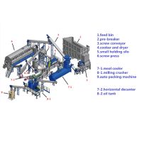 Automatic Abattoir Waste Rendering Plant