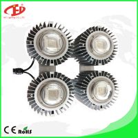 new products manufacturer Provide 600w Waterproof fanless full spectrum COB led grow light