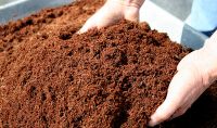coir pith