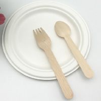 Compostable Sugarcane Bagasse Pulp Disposable Plate Dishes Biodegradable Food Container Tableware