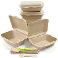 Compostable Sugarcane Bagasse Pulp Disposable Plate Dishes Biodegradable Food Container Tableware