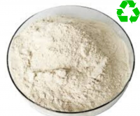 Best Rice Protein Powder