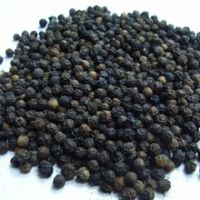 black pepper good prices