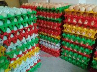 Plastic Egg Tray For Chicken Eggs Duck Eggs