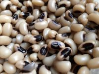 Black Eyed Pea