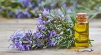 Rosemary Oil