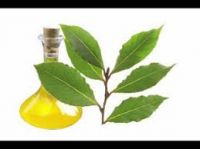 Bay Leaf Oil