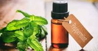 Peppermint Oil