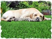 #306814 Pet Artificial Grass supplier
