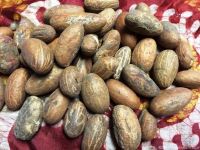 Bitter Kola (Garcinia Kola) Nuts