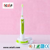 MAF8101 Economic Price Adult SonicToothbrush Dental Toothbrush Oral Fresh Product