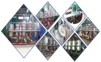 2tpd palm oil refining machine