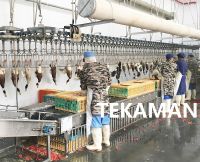 OVERHEAD CONVEYOR - POULTRY DEFEATHERING - POULTRY PROCESSING EQUIPMENT