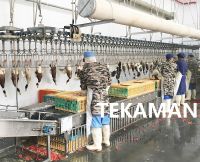 Overhead Conveyor - Poultry Defeathering - Poultry Processing Equipment