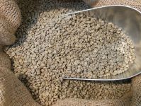 Arabica Coffee Beans