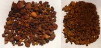 Cattle Ox Gallstones, Dried Quality
