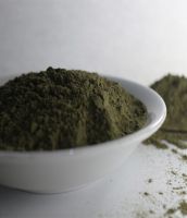 White Kratom