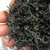 Thai Nguyen Green tea from Vietnam high quality