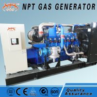 250kva gas generator set for sale