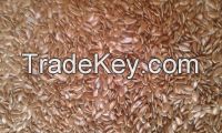 flax seeds  