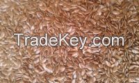 flax seeds  