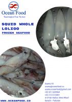 Squid Whole loligo