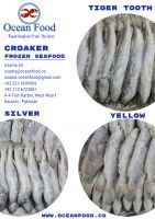 Croaker (Yellow, Silver & Tiger Tooth)