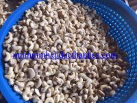 WW320 cashew nut  high quality competitive price