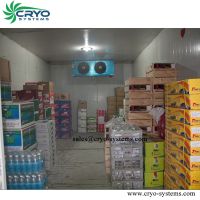 portable cold storage, walk in cooler system, cold storage room