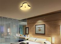 Led Ceiling Light