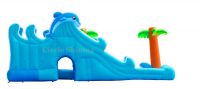 Inflatable Slide And Obstacle Combo