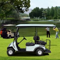 Electric vehicle 2 seater golf carts
