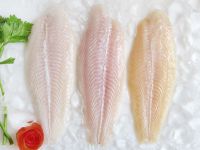 Frozen Pangasius fillet