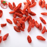 https://ar.tradekey.com/product_view/Certificate-Organic-Goji-Berry-8926972.html